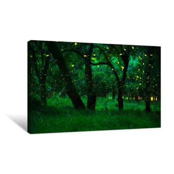 Image of Firefly Flying In The Forest  Fireflies In The Bush At Night At Prachinburi Province, Thailand  Long Exposure Photo  The Forest In Fairy Tale  Magic Fairy Forest Canvas Print