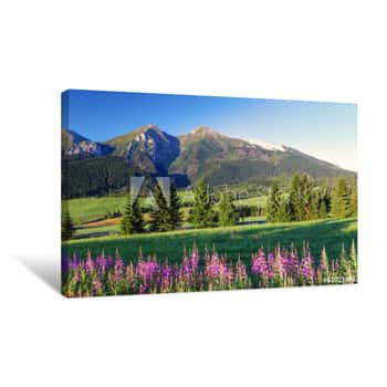 Image of Beauty Mountain Panorama With Flowers - Slovakia Canvas Print