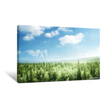 Image of Forest In Sunset Time Canvas Print