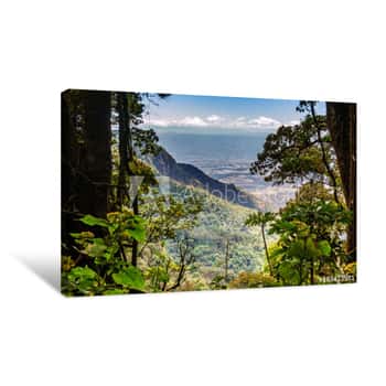 Image of Woodland View Of Valley Near Antigua, Guatemala, Central America Canvas Print
