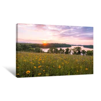 Image of Minnesota Wild Flowers And Lake Canvas Print