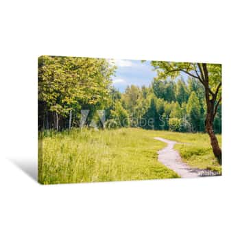 Image of Road In A Sunny Summer Forest Canvas Print