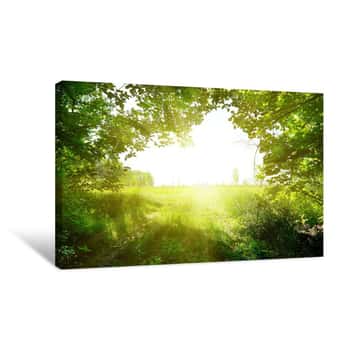 Image of Path In The Forest Canvas Print