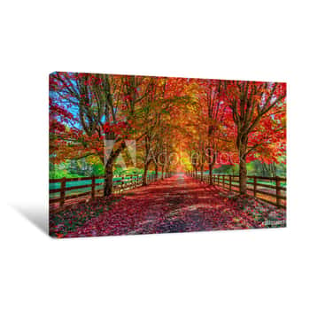 Image of Autumn Trees Lining Driveway Canvas Print