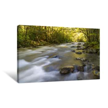 Image of River Cascading Through Canopy Of Trees In Autumn Canvas Print