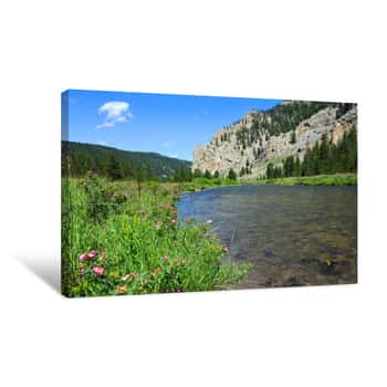 Image of Scenery Is Enhanced By Lone Fly Fisherman Fishing The Gallatin River In Gallatin Valley, Montana   Forefront Has Pink Wildflowers And Expanse Of River Canvas Print