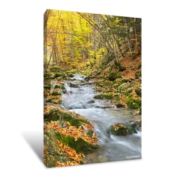 Image of Autumn Nature Landscape Canvas Print