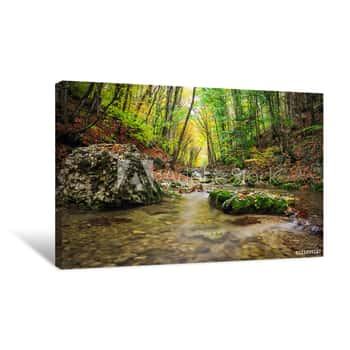 Image of Colorful Forest Stream in Crimea Canvas Print