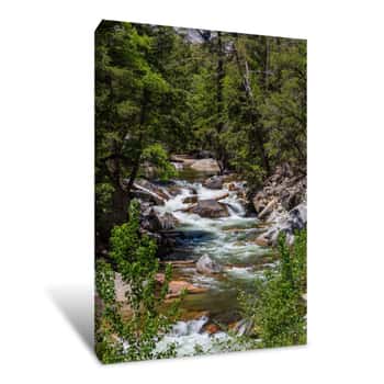 Image of Mountain Stream During Spring Canvas Print