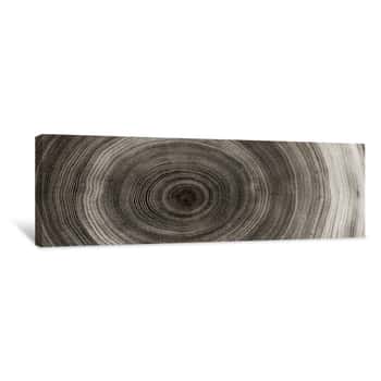 Image of Warm Gray Cut Wood Texture  Detailed Black And White Texture Of A Felled Tree Trunk Or Stump  Rough Organic Tree Rings With Close Up Of End Grain Canvas Print