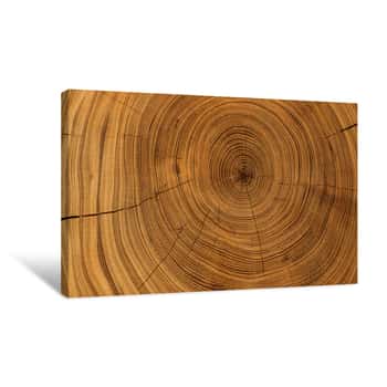 Image of Old Wooden Oak Tree Cut Surface  Detailed Warm Dark Brown And Orange Tones Of A Felled Tree Trunk Or Stump  Rough Organic Texture Of Tree Rings With Close Up Of End Grain Canvas Print