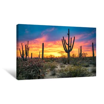 Image of Dramatic Sunset In Arizona Desert: Colorful Sky And Cacti/ Saguaros In Foreground  - Saguaro National Park, Arizona, USA Canvas Print