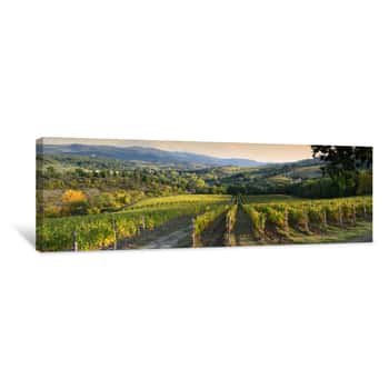 Image of Beautiful Vineyard In Chianti Region Near Greve In Chianti (Florence) At Sunset With The Colors Of Autumn  Italy Canvas Print