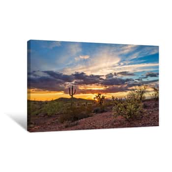 Image of Arizona Desert Sunset Canvas Print