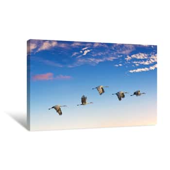 Image of Landscape During Sunset With Flying Birds Panoramic View Canvas Print