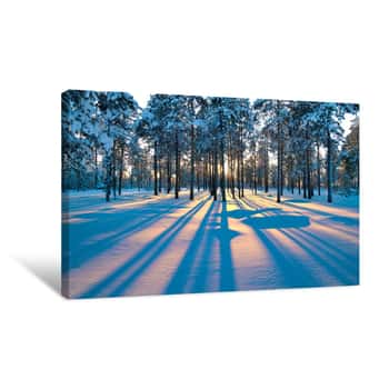 Image of Sunset In A Winter Forest Canvas Print