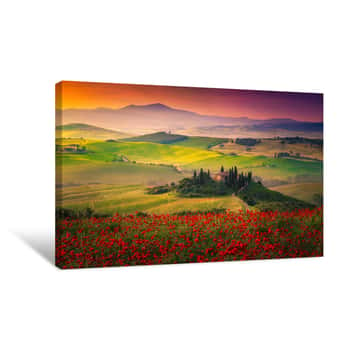 Image of Stunning Red Poppies Blossom On Meadows In Tuscany, Pienza, Italy Canvas Print