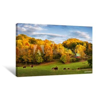 Image of Autumn Appalachian Farm At The End Of The Day - Cows On Back Roads Near Boone North Carolina Canvas Print