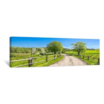 Image of Countryside Landscape, Farm Field And Grass With Grazing Cows On Pasture In Rural Scenery With Country Road, Panoramic View Canvas Print