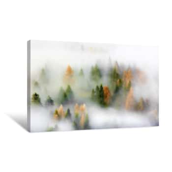 Image of Fog Running Through The Trees Canvas Print