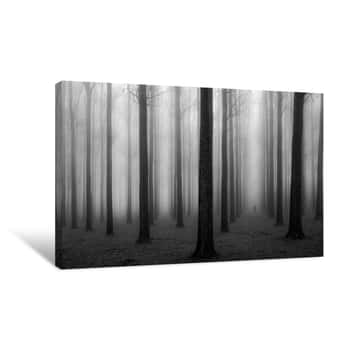 Image of Forest In A Fog Canvas Print