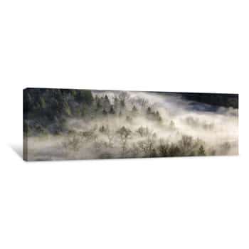 Image of Fog Rolling Over Forest In Oregon Canvas Print