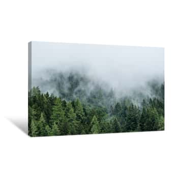 Image of Forest In Mist, Low Clouds In Conifers, Austrian Alps Canvas Print