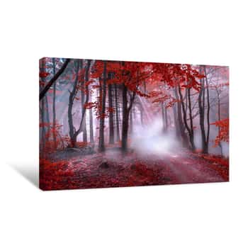 Image of Mystical Red Forest Canvas Print