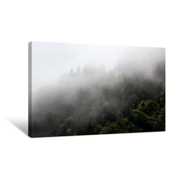 Image of Foggy Mysterious Forest Growing On Hills Canvas Print