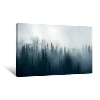 Image of Boreal Forest Fog - Canadian Forest Panorama Canvas Print