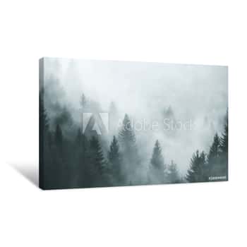 Image of Fantasy Foggy Forest In The Morning Fog  Picture Was Taken In Slovenia, EU Canvas Print
