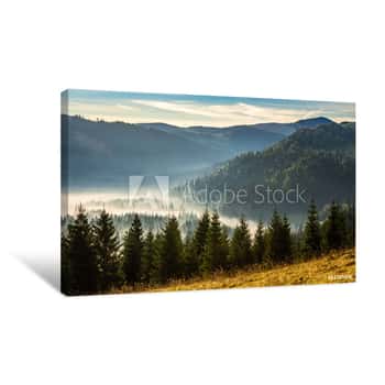 Image of Coniferous Forest In Foggy Romanian Mountains At Sunrise Canvas Print
