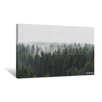 Image of Panoramic Landscape View Of Spruce Forest In The Fog In The Rainy Weather Canvas Print