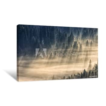 Image of Coniferous Forest In Foggy Mountains Canvas Print