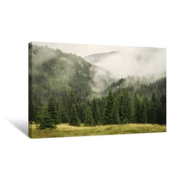 Image of Fog Covering Fir Trees Forest In Mountain Landscape Canvas Print