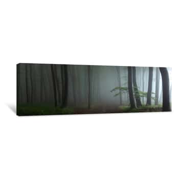 Image of Panorama Of Foggy Forest  Fairy Tale Spooky Looking Woods In A Misty Day  Cold Foggy Morning In Horror Forest Canvas Print