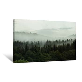Image of Beautiful Foggy Forest In The Heart Of Czech Republic Canvas Print