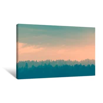 Image of Foggy Pine Forest For Background Canvas Print