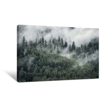 Image of Trees In Morning Fog  View Of Foggy Forest Canvas Print