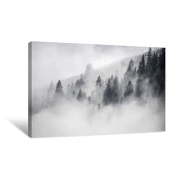 Image of Dancing Fog Colorado Canvas Print
