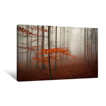 Image of Foggy Forest Full Of Trunks And Red Leaves On Branches And On The Ground Canvas Print