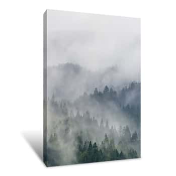Image of Foggy Forest Canvas Print