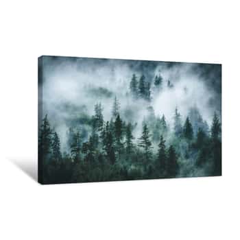 Image of Panoramic View Of Misty Forest  Foggy Forest In A Gloomy Landscape Canvas Print