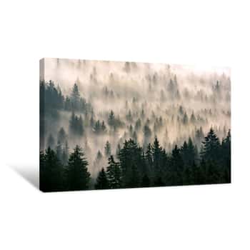 Image of Misty Forest Canvas Print