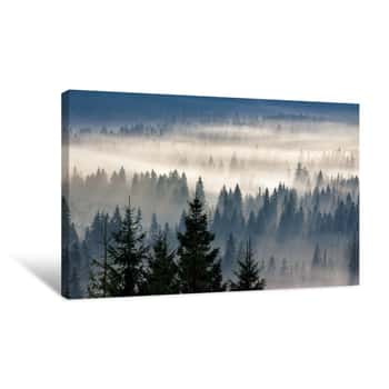 Image of Coniferous Forest In Foggy Mountains Canvas Print