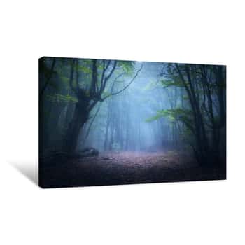 Image of Forest In Fog  Fall Woods  Enchanted Autumn Forest In Fog In The Morning  Old Tree  Landscape With Trees, Colorful Green And Red Foliage And Blue Fog  Nature Background  Dark Foggy Forest Canvas Print