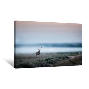 Image of Beautiful Red Deer Stag On The Field Near The Foggy Misty Forest Landscape In Autumn In Belarus Canvas Print