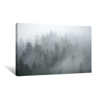 Image of Trees On Mountains On Foggy Morning In Alaska Canvas Print