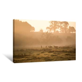 Image of Red Deer Sunrise Landscape Canvas Print
