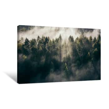 Image of Der Teutoburger Wald Im Nebel Canvas Print